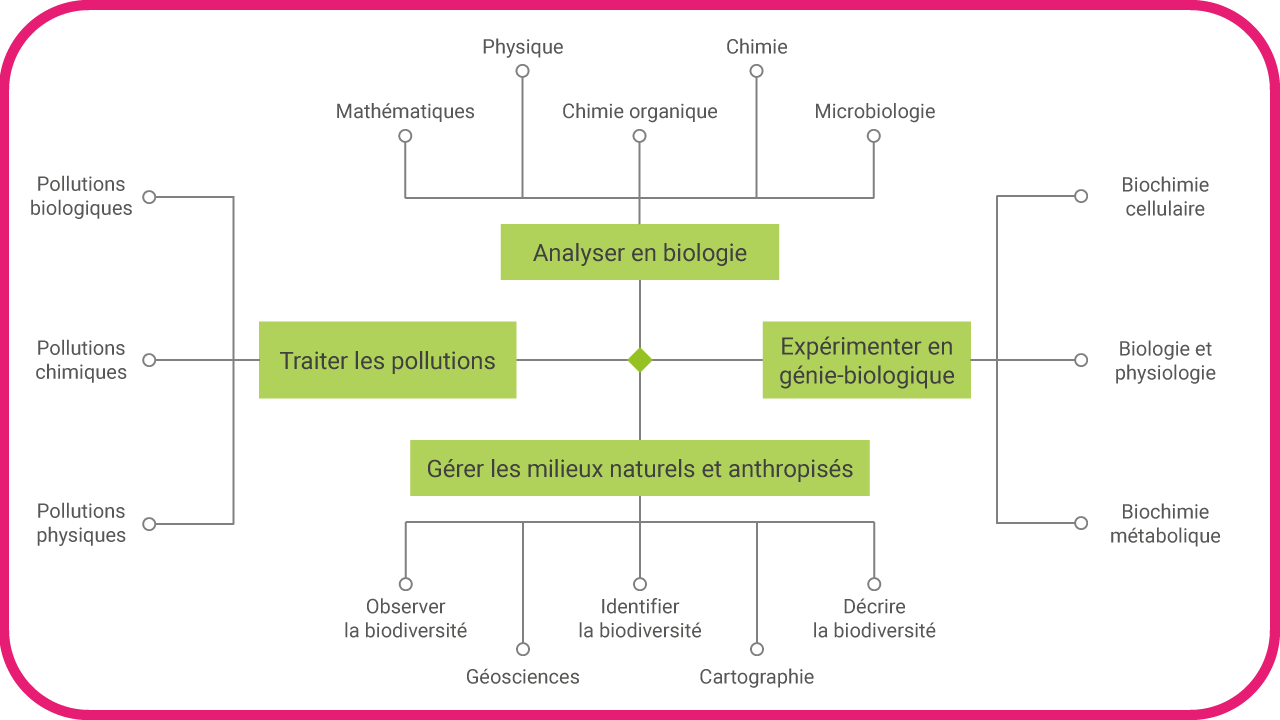 Compétences visées - BUT Génie Biologique à La Roche-sur-Yon