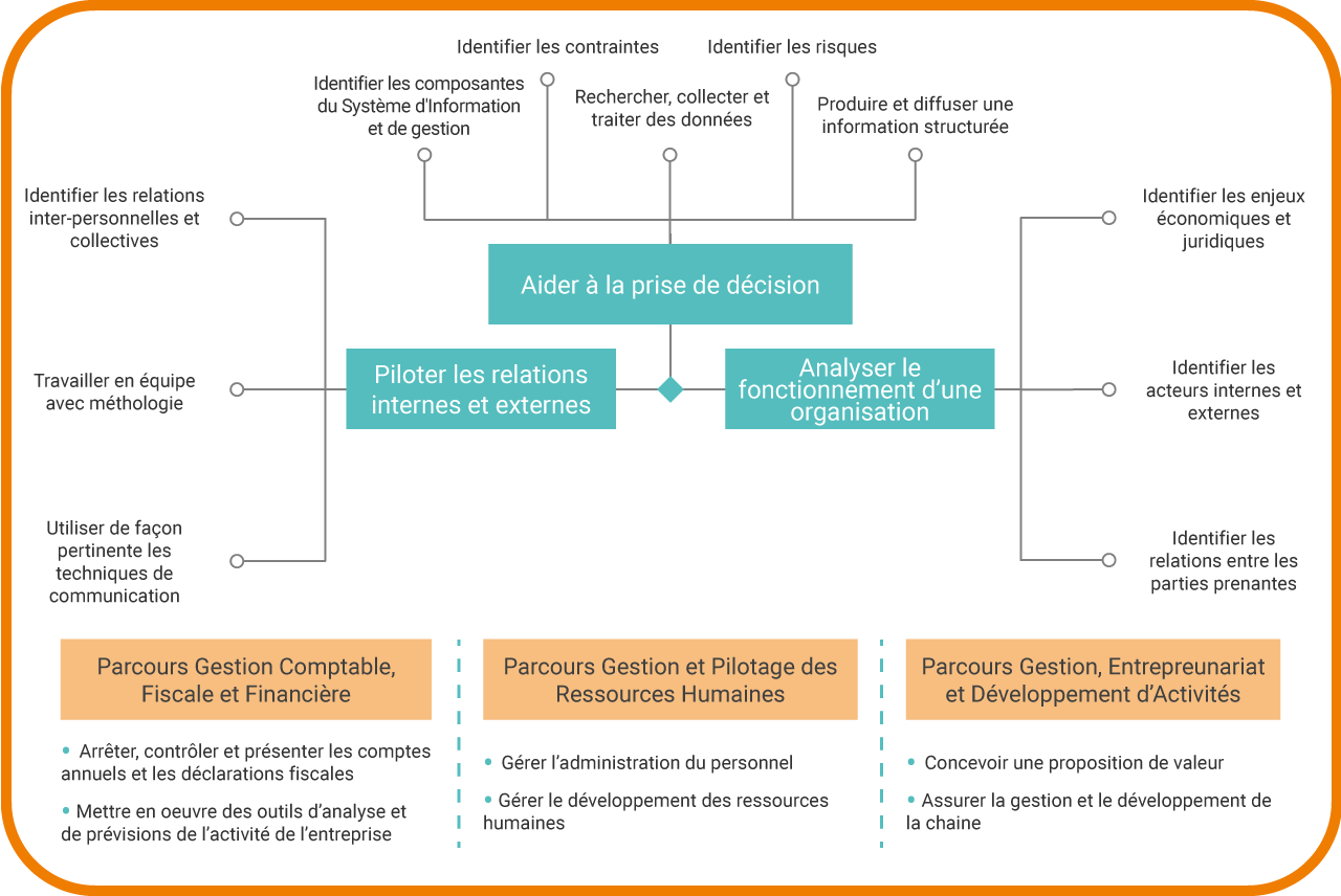 Compétences visées - BUT Gestion des entreprises et des administrations à La Roche-sur-Yon