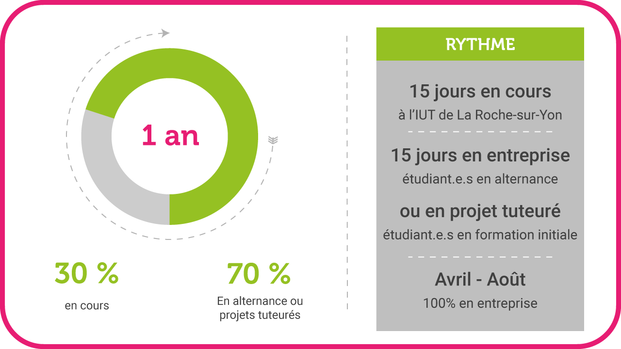 Rythme de l'alternance de la LP ICMIR et M2IR